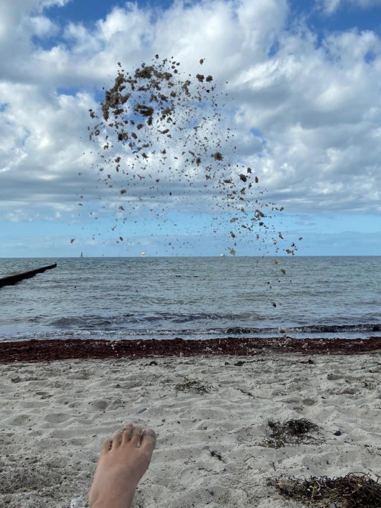 Ostsee-Ferienwohnung-Lipsia أوستسيباد نينهاجن المظهر الخارجي الصورة